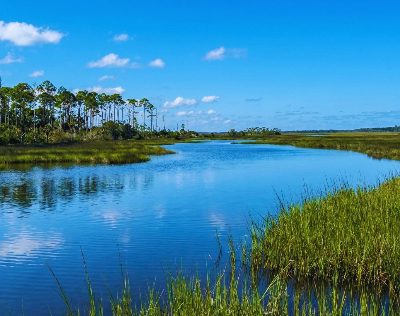 Dutton Island Preserve, Atlantic Beach, FL