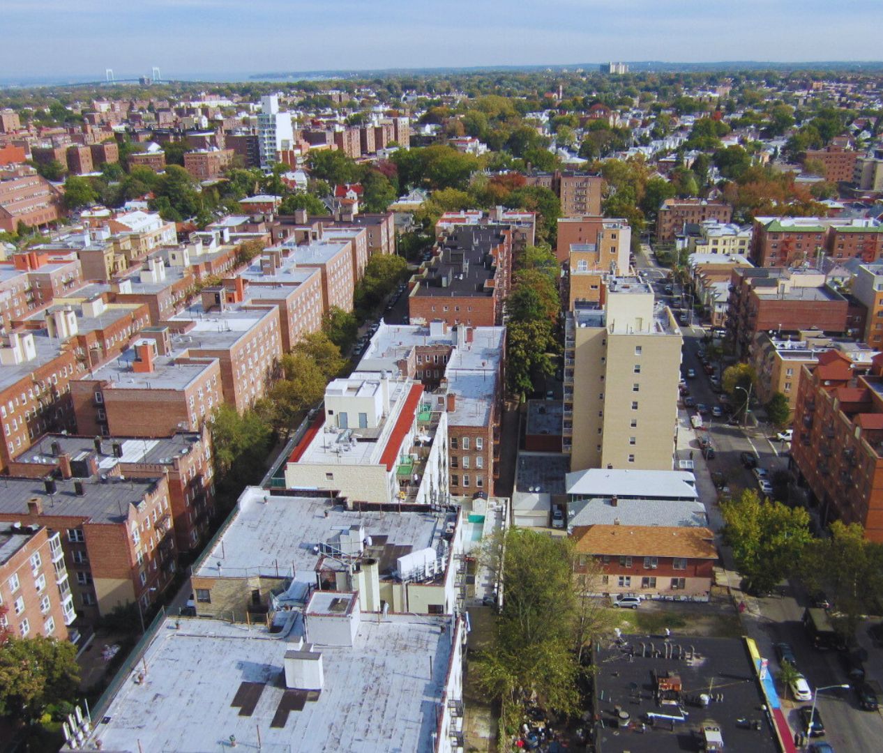 Aerial view of the neighborhood, Flushing, NY